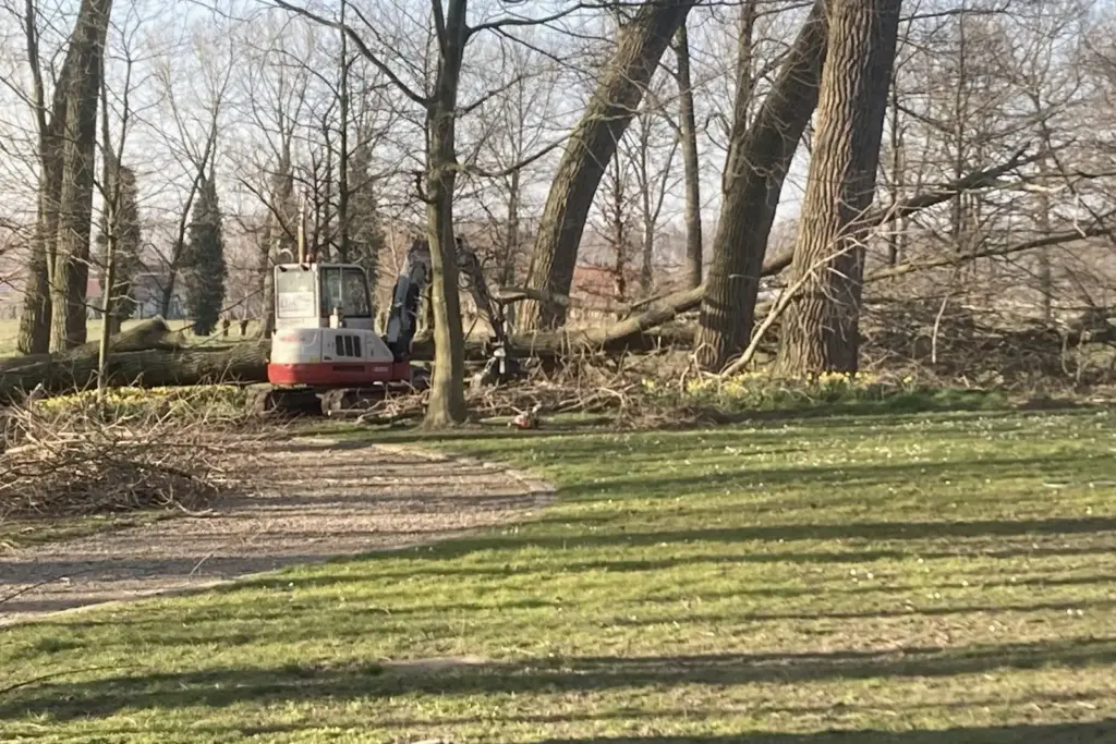 Snoeiwerken in een parktuin met machine