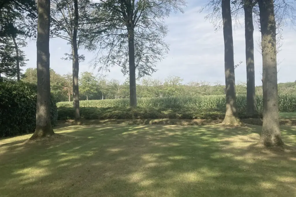 Onderhouden parktuin met gemaaid gazon