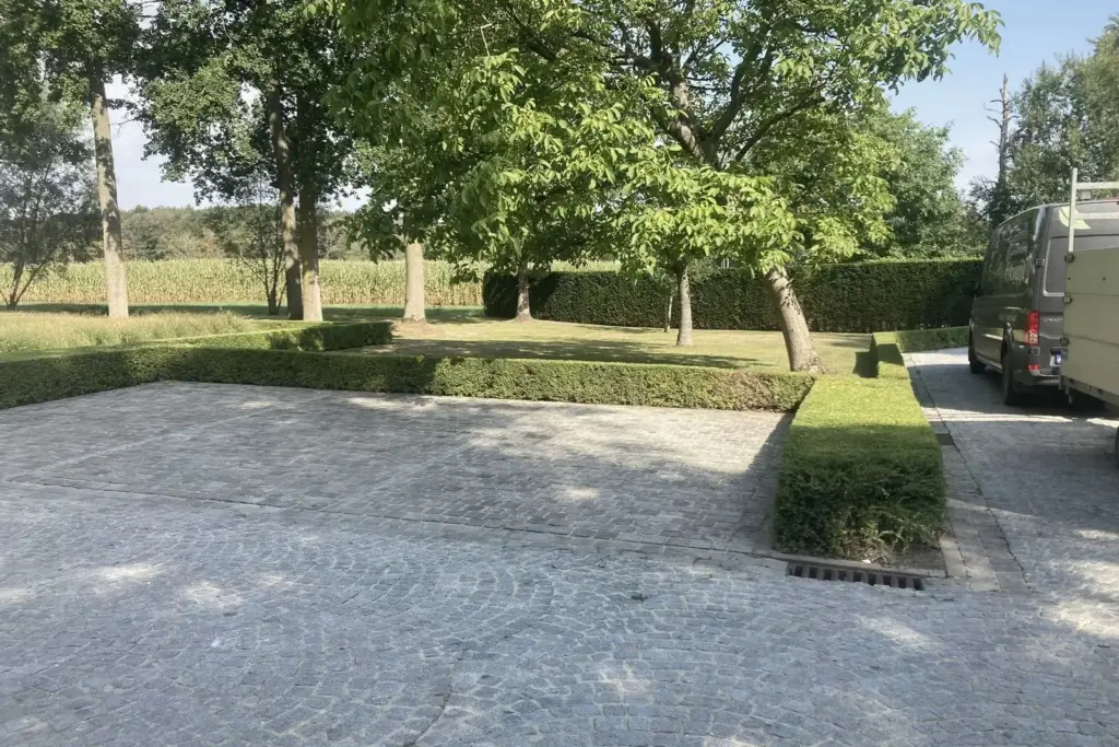 Oprit in kasseien met buxushagen en leibomen