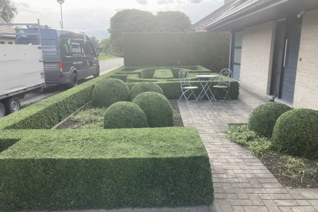 Aangelegde voortuin met buxushagen en terras