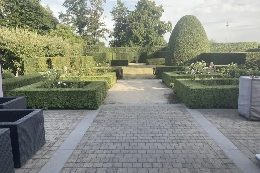 Formele tuin met gesnoeide hagen en klinkerpad
